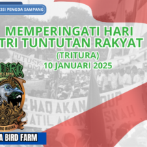 Leora Bird Farm Ucapkan Selamat Hari Tritura: Wujudkan Persatuan Lewat Pelestarian Perkutut