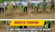 3.331 Bibit Pohon Kelapa Ditanam Di SAE Ngajum Lapas Kelas I Malang