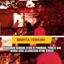 Kebakaran Kandang Ayam di Ponorogo, Pemilik dan Warga Coba Selamatkan Ayam Tersisa
