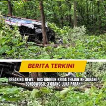 BREAKING NEWS – Bus Anggun Krida Terjun ke Jurang Bondowoso, 3 Orang Luka Parah