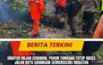 Diguyur Hujan Seharian, Pohon Tumbang Tutup Akses Jalan Raya Sarangan-Cemorosewu Magetan