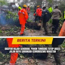 Diguyur Hujan Seharian, Pohon Tumbang Tutup Akses Jalan Raya Sarangan-Cemorosewu Magetan