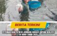 Peternak Ikan Patin di Jombang Nikmati Untung Berlipat di Akhir Tahun 2025