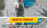 Peternak Ikan Patin di Jombang Nikmati Untung Berlipat di Akhir Tahun 2025