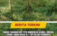 Ribuan Tanaman Kopi PTPN Bondowoso Kembali Dirusak Orang, Sudah Kasus ke 7 Tapi Belum Terungkap