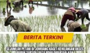 Sejumlah Petani di Jombang Kaget Kehilangan Akses Pupuk Subsidi, Data RDKK Dipersoalkan