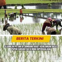 Sejumlah Petani di Jombang Kaget Kehilangan Akses Pupuk Subsidi, Data RDKK Dipersoalkan