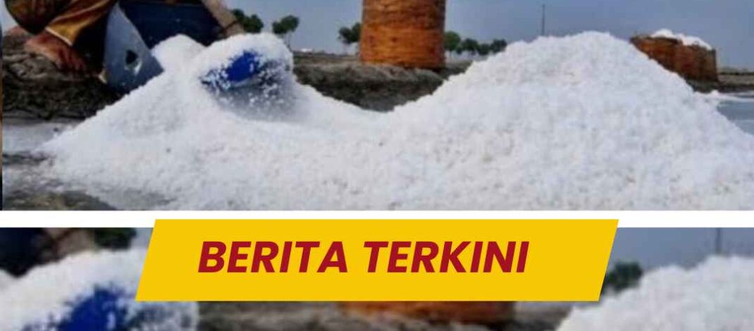 Kualitas Jadi Prioritas, PT.Sumatraco Langgeng Makmur Kelola Tambak Garam Strategis