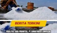Kualitas Jadi Prioritas, PT.Sumatraco Langgeng Makmur Kelola Tambak Garam Strategis