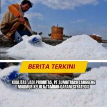 Kualitas Jadi Prioritas, PT.Sumatraco Langgeng Makmur Kelola Tambak Garam Strategis