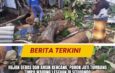 Hujan Deras dan Angin Kencang, Pohon Jati Tumbang Timpa Warung Lesehan di Situbondo