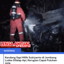 Kandang Sapi Milik Subiyanto di Jombang Ludes Dilalap Api, Kerugian Capai Puluhan Juta