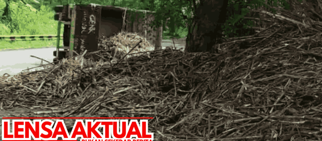 Truk Muatan Tebu Terguling di Jalur Blitar-Malang, Arus Lalu Lintas Ikut Terganggu