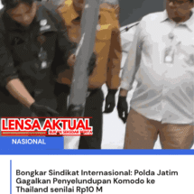 Bongkar Sindikat Internasional: Polda Jatim Gagalkan Penyelundupan Komodo ke Thailand senilai Rp10 M