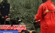 Pohon Roboh Imbas Hujan Lebat & Angin Kencang Tutup Akses Warga Desa Karang Kedawang
