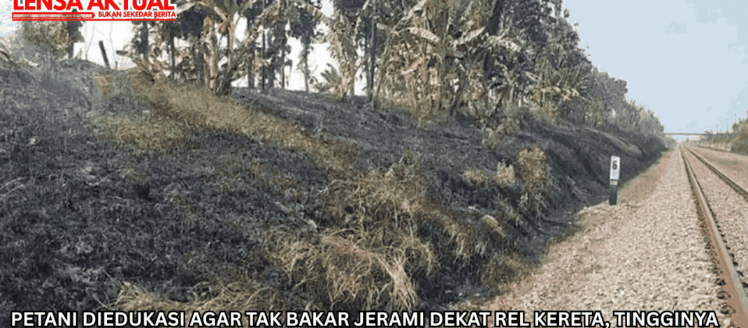 Petani Diedukasi Agar Tak Bakar Jerami Dekat Rel Kereta, Tingginya Risiko Kebakaran saat Kemarau