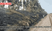 Petani Diedukasi Agar Tak Bakar Jerami Dekat Rel Kereta, Tingginya Risiko Kebakaran saat Kemarau