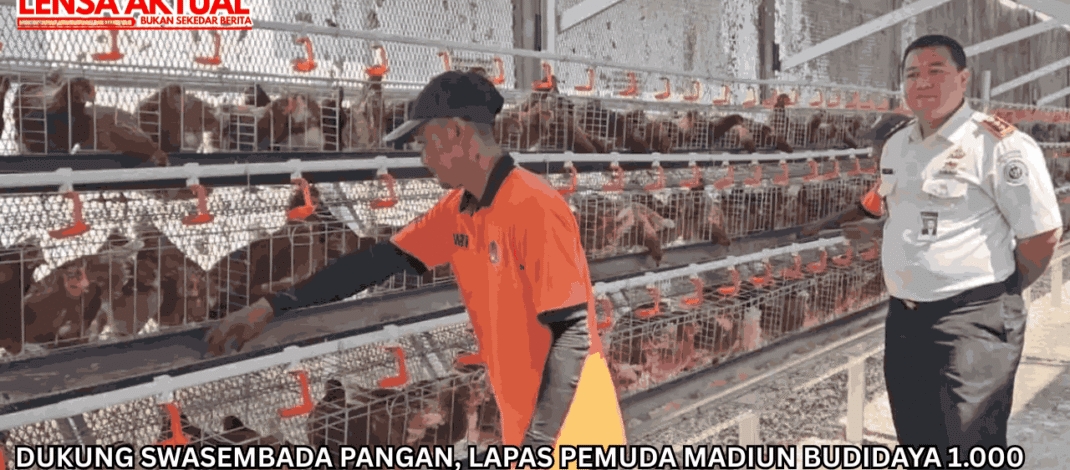Dukung Swasembada Pangan, Lapas Pemuda Madiun Budidaya 1.000 Ayam Petelur & Berdayakan Warga Binaan