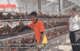 Dukung Swasembada Pangan, Lapas Pemuda Madiun Budidaya 1.000 Ayam Petelur & Berdayakan Warga Binaan