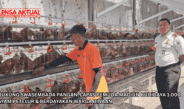 Dukung Swasembada Pangan, Lapas Pemuda Madiun Budidaya 1.000 Ayam Petelur & Berdayakan Warga Binaan