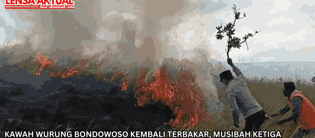 Kawah Wurung Bondowoso Kembali Terbakar, Musibah Ketiga Kalinya Selama Musim Kemarau