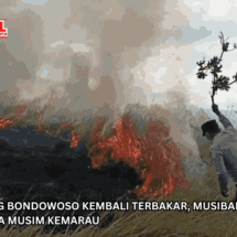 Kawah Wurung Bondowoso Kembali Terbakar, Musibah Ketiga Kalinya Selama Musim Kemarau