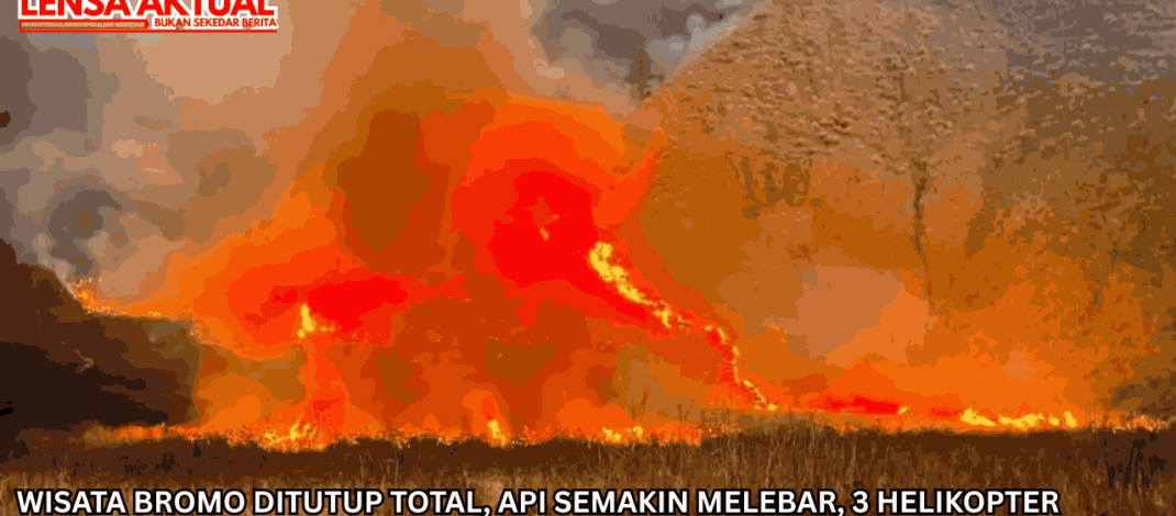Wisata Bromo Ditutup Total, Api Semakin Melebar, 3 Helikopter Dikerahkan untuk Water Bombing