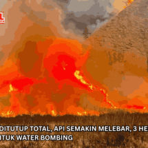 Wisata Bromo Ditutup Total, Api Semakin Melebar, 3 Helikopter Dikerahkan untuk Water Bombing