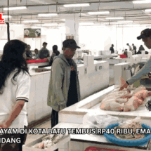 Harga Daging Ayam di Kota Batu Tembus Rp40 Ribu, Emak-emak Beralih ke Lele dan Pindang