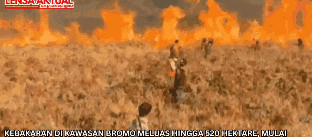 Kebakaran di Kawasan Bromo Meluas hingga 520 Hektare, Mulai Masuk Wilayah Probolinggo & Pasuruan