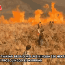 Kebakaran di Kawasan Bromo Meluas hingga 520 Hektare, Mulai Masuk Wilayah Probolinggo & Pasuruan