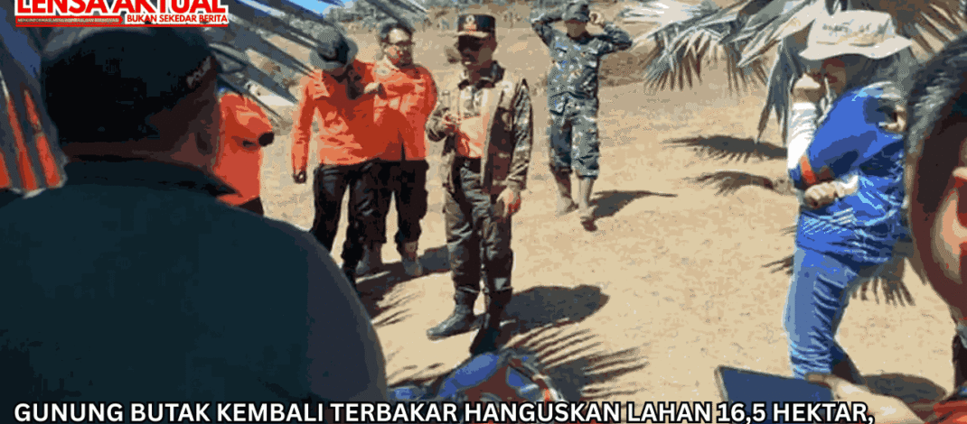Gunung Butak Kembali Terbakar Hanguskan Lahan 16,5 Hektar, Personel Ditarik Demi Keselamatan