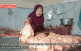 Harga Daging Ayam & Sapi Naik Pesat, Pedagang Pasar Pon Jombang Akui Penjualan Menurun