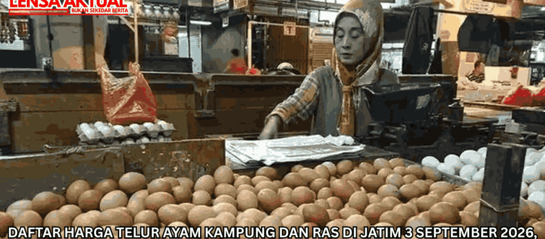 Daftar Harga Telur Ayam Kampung dan Ras di Jatim 3 September 2026, Trenggalek Termurah Rp23.000