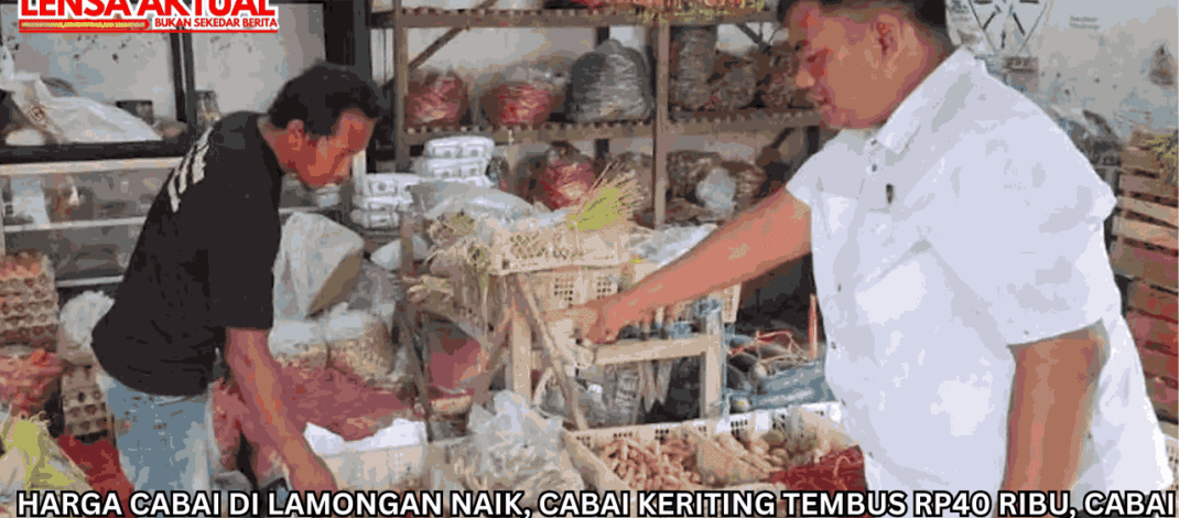 Harga Cabai di Lamongan Naik, Cabai Keriting Tembus Rp40 Ribu, Cabai Rawit Rp65 Ribu