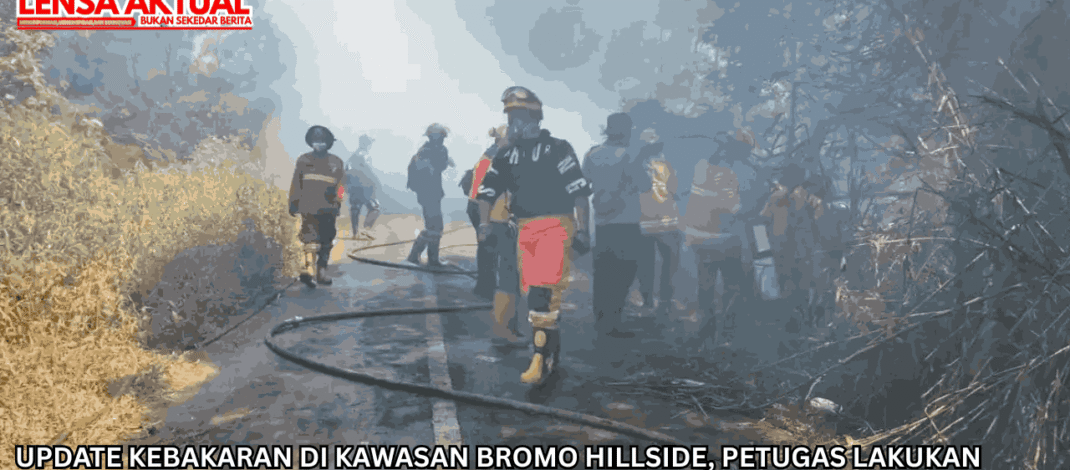 Update Kebakaran di Kawasan Bromo Hillside, Petugas Lakukan Penyisiran Titik Api