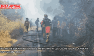 Update Kebakaran di Kawasan Bromo Hillside, Petugas Lakukan Penyisiran Titik Api